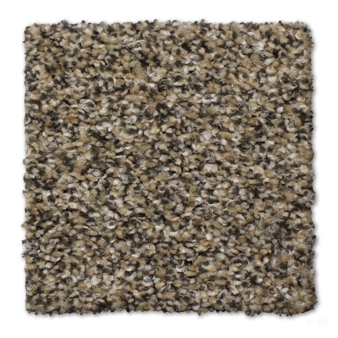 floor-img